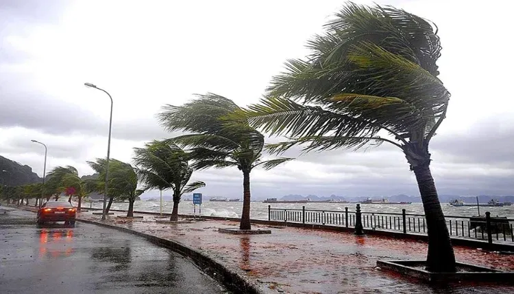 طقس الأربعاء.. نزول أمطار مع تسجيل تساقطات ثلجية بعدد من مناطق المملكة