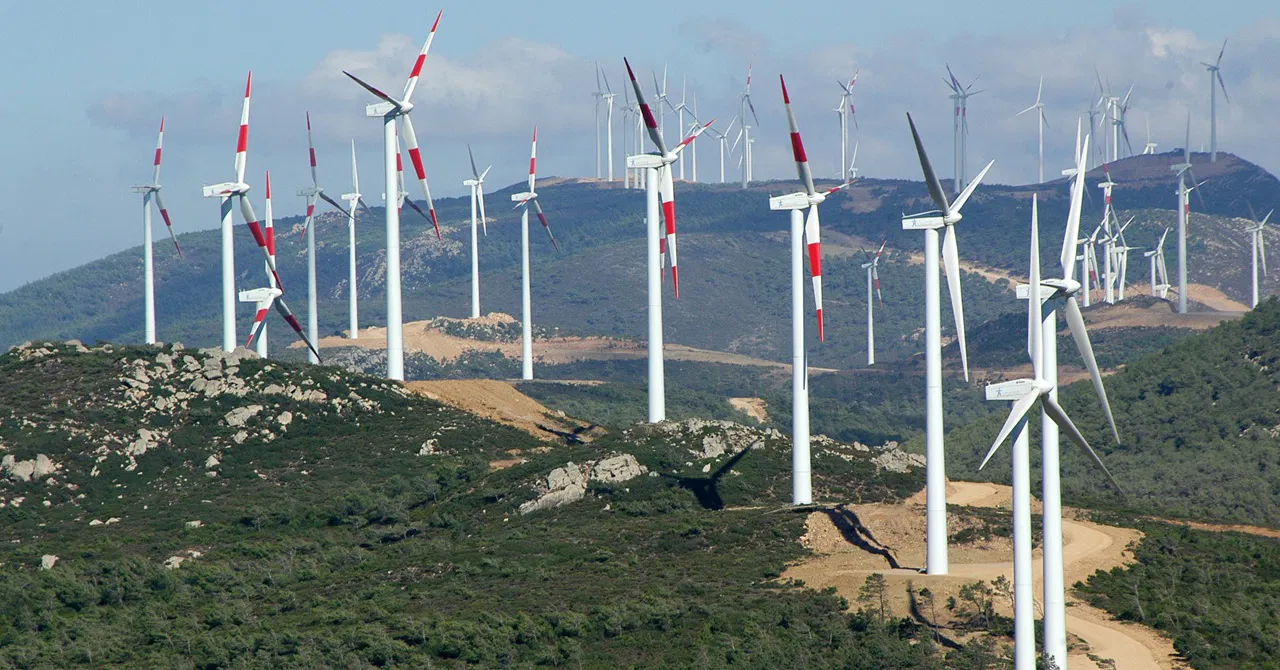 باستثمارات بقيمة 265 مليون درهم.. "طاقة المغرب" توسع حضورها في أنشطة الطاقة منخفضة الكربون